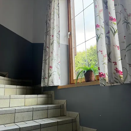 Haus Imbachhorn Summer Card Included Apartamento Zell am See