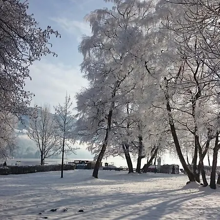 Haus Imbachhorn Summer Card Included アパート *