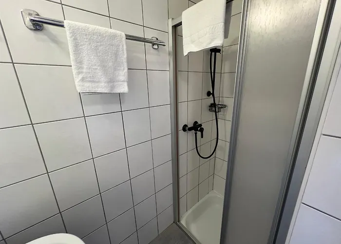 Haus Imbachhorn Summer Card Included 公寓 滨湖采尔