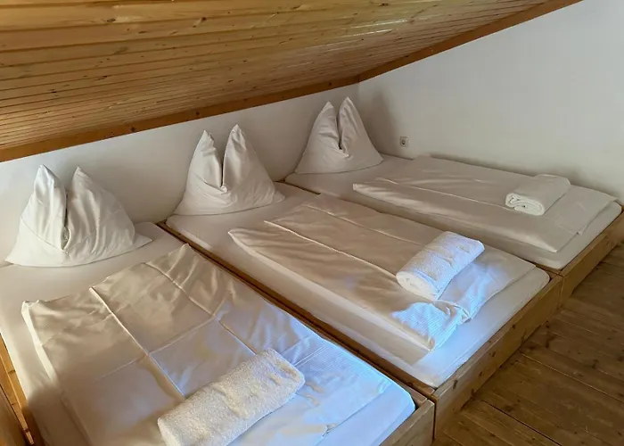 Haus Imbachhorn Summer Card Included 公寓