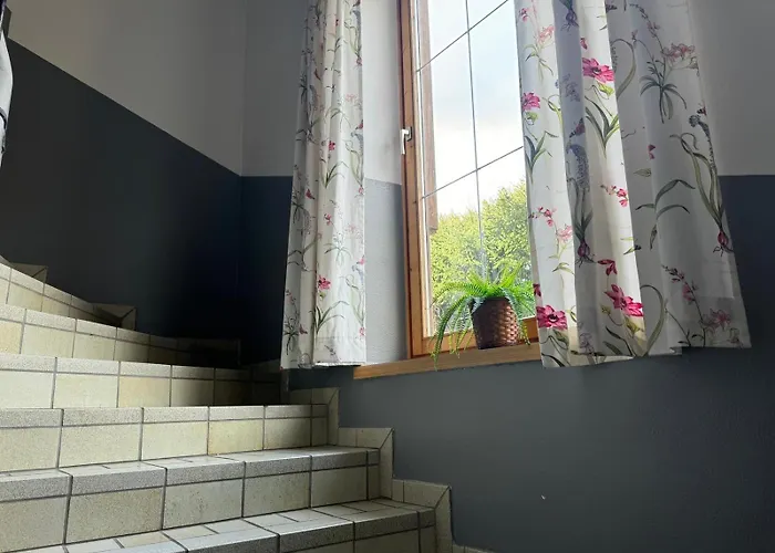 Haus Imbachhorn Summer Card Included 公寓 滨湖采尔